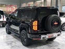 بي واي دي ليوبارد 5